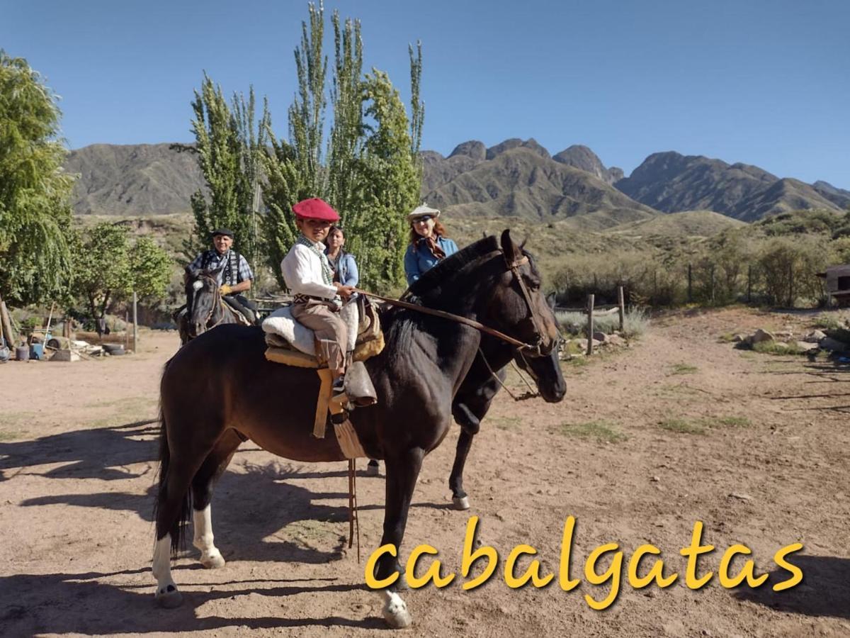Cabana Pica Piedra Mendoza Zewnętrze zdjęcie